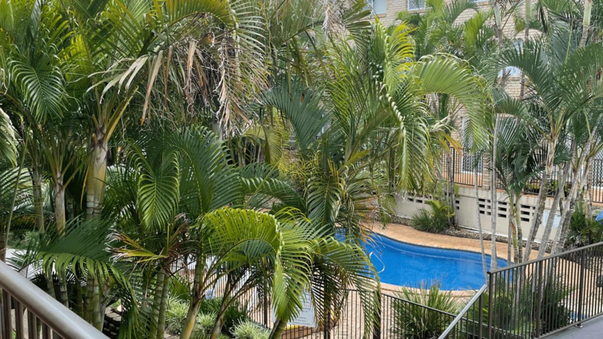 Cabarita Beachfront Apartments By Kingscliff Accommodation Bagian luar foto